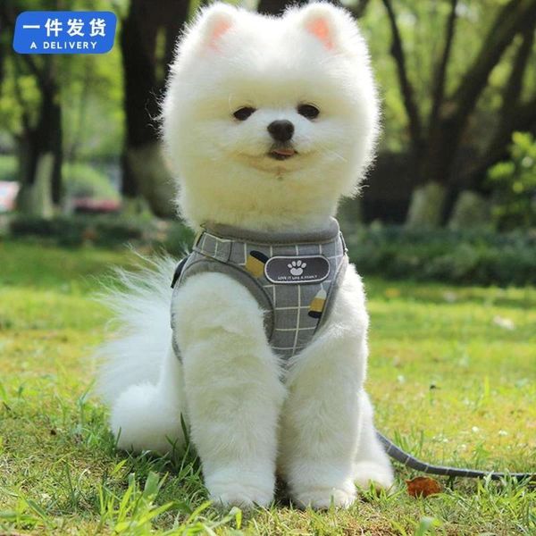 pet chest strap reflective ventilation dog traction rope small vest collars & leashes
pet chest strap reflective ventilation dog traction rope small vest collars & leashes