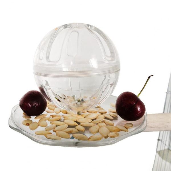 other bird supplies pet parrot feeding toy foraging ball standing stick combination supply wooden transparent white fixed device
other bird supplies pet parrot feeding toy foraging ball standing stick combination supply wooden transparent white fixed device