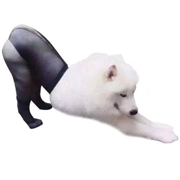 dog apparel pet funny silk stockings stretchy long socks po props for medium large dogs
dog apparel pet funny silk stockings stretchy long socks po props for medium large dogs