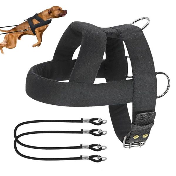 dog sled harness winter weight pulling sledding for medium large strength weighting training strap skijoring collars & leashes
dog sled harness winter weight pulling sledding for medium large strength weighting training strap skijoring collars & leashes