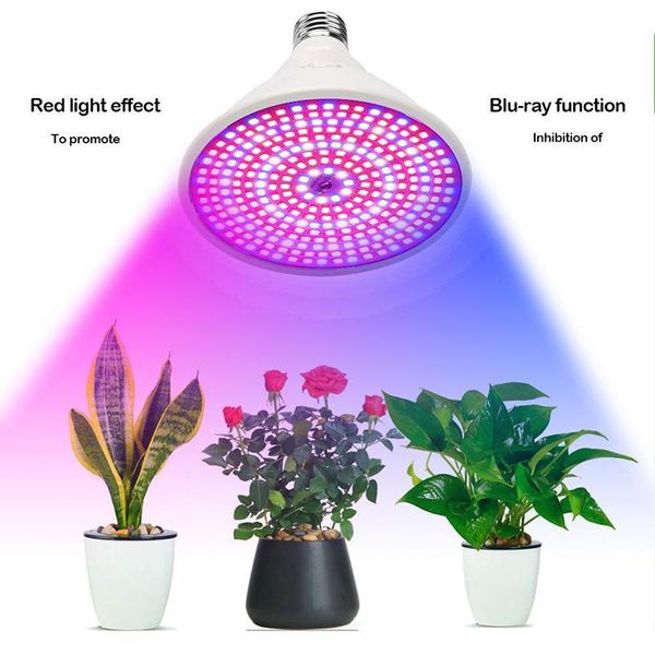 grow lights bombilla de luz led para cultivo plantas e27, fitolamp roja + azul flores vegs cultivo, tienda
grow lights bombilla de luz led para cultivo plantas e27, fitolamp roja + azul flores vegs cultivo, tienda