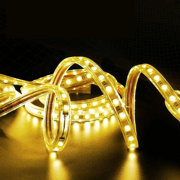 strips ac220v led strip fita luz tira ruban bande 1m 5m 10m 15m 20m 25m smd 60leds/m waterproof light eu plug
strips ac220v led strip fita luz tira ruban bande 1m 5m 10m 15m 20m 25m smd 60leds/m waterproof light eu plug
