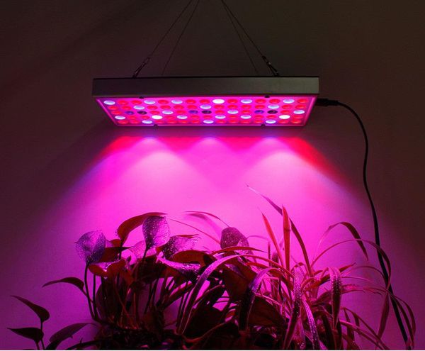 grow lights led light 25w 45w ac85-265v full spectrum phyto lamp for hydroponic flowers seedling cultivation lighting us/eu plug
grow lights led light 25w 45w ac85-265v full spectrum phyto lamp for hydroponic flowers seedling cultivation lighting us/eu plug