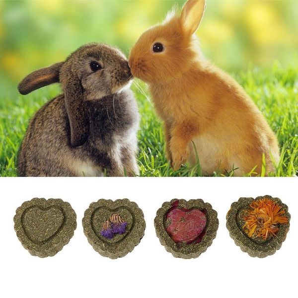 small animal supplies p82c 2pcs pets grinding teeth cake cookie animals chinchilla guniea pig
small animal supplies p82c 2pcs pets grinding teeth cake cookie animals chinchilla guniea pig
