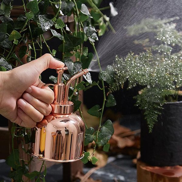 watering equipments stainless steel bottle nordic style vintage water succulent plants golden spraying pot garden tool
watering equipments stainless steel bottle nordic style vintage water succulent plants golden spraying pot garden tool