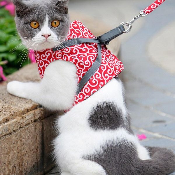 cat collars & leads adjustable walking jacket vest harness lead leash for small medium pet collar set kitten puppy
cat collars & leads adjustable walking jacket vest harness lead leash for small medium pet collar set kitten puppy