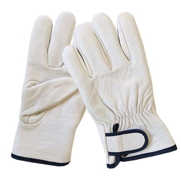 disposable gloves welding glove work welder's cowskin leather barbecue working garden protective cut resistant
disposable gloves welding glove work welder's cowskin leather barbecue working garden protective cut resistant