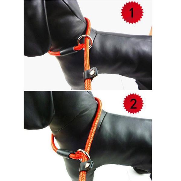 dog collars & leashes adjustable pet leash rope nylon training lead strap traction harness collar lead2
dog collars & leashes adjustable pet leash rope nylon training lead strap traction harness collar lead2