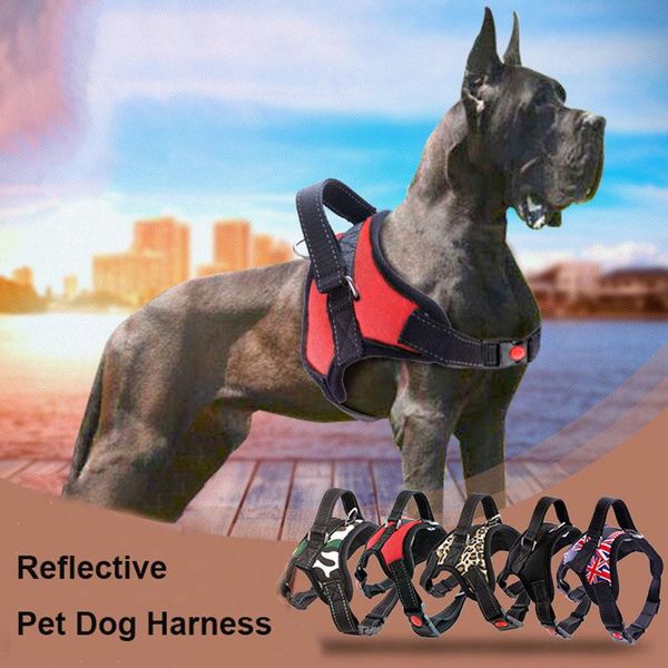 dog collars & leashes pet harness chest straps reflective breathable adjustable for vest outdoor walking supplies large medium small
dog collars & leashes pet harness chest straps reflective breathable adjustable for vest outdoor walking supplies large medium small