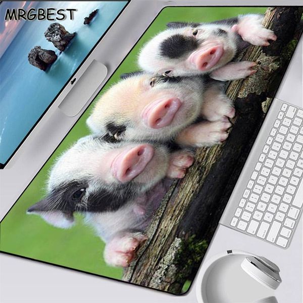 mouse pads & wrist rests mrg animal stand by diy game large pad lock edge three little pigs table mat carpet rubber non-slip 900x400mm xxl
mouse pads & wrist rests mrg animal stand by diy game large pad lock edge three little pigs table mat carpet rubber non-slip 900x400mm xxl