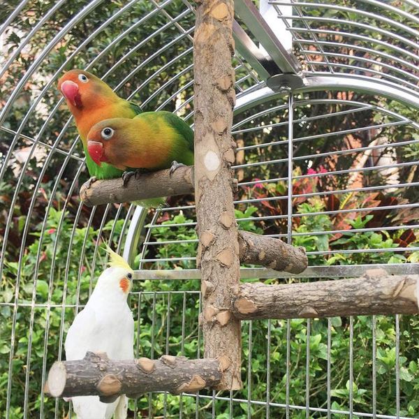 other bird supplies pet wooden rest play perch toy parrot chewing rotating log stairs with leather stand bar
other bird supplies pet wooden rest play perch toy parrot chewing rotating log stairs with leather stand bar