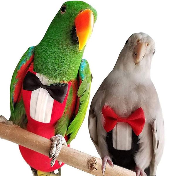other bird supplies 2 pcs pet uniform tuxedo flight suit waterproof nappy diaper clothes for macaw african budgies parakeet fischeri cockati
other bird supplies 2 pcs pet uniform tuxedo flight suit waterproof nappy diaper clothes for macaw african budgies parakeet fischeri cockati