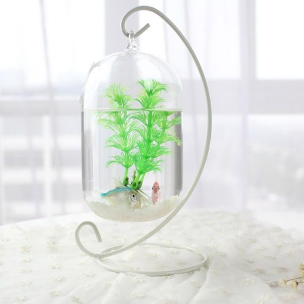 aquariums 15cm suspended transparent hanging glass fish tank infusion bottle aquarium flower plant vase for home decoration (
aquariums 15cm suspended transparent hanging glass fish tank infusion bottle aquarium flower plant vase for home decoration (
