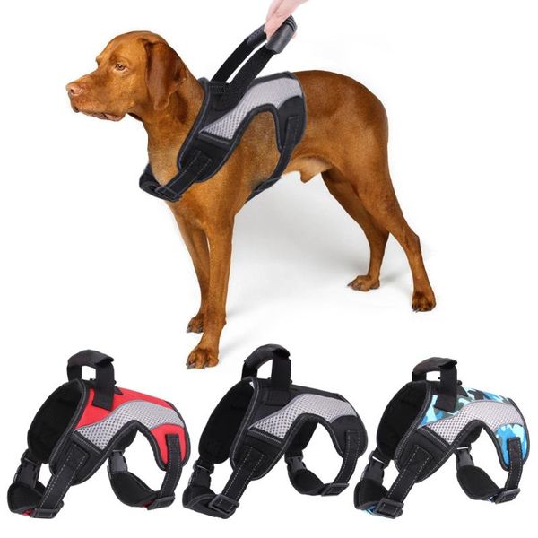 dog collars & leashes harness no-pull pet with leash clips adjustable soft padded vest easy control handle for large dogs
dog collars & leashes harness no-pull pet with leash clips adjustable soft padded vest easy control handle for large dogs