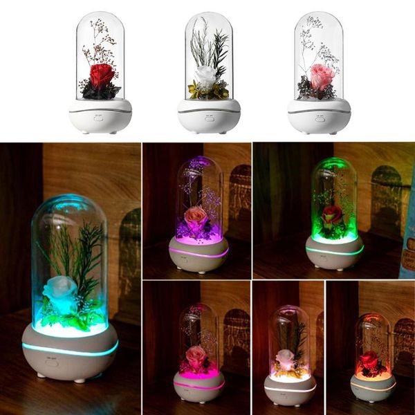 decorative flowers & wreaths preserved flower fragrance lamp aroma diffuser portable colorful atmosphere light rechargeable usb birthday gif
decorative flowers & wreaths preserved flower fragrance lamp aroma diffuser portable colorful atmosphere light rechargeable usb birthday gif