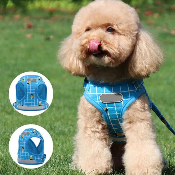 dog collars & leashes square cat chest vest and leash set mesh harness for small medium pet reflective adjustable
dog collars & leashes square cat chest vest and leash set mesh harness for small medium pet reflective adjustable