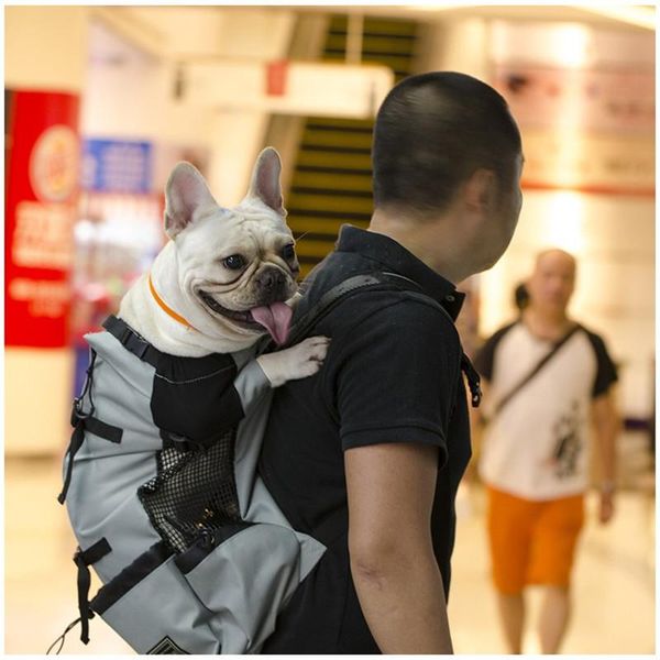 backpack pet dog carrier travel shoulder outdoor bag ventilation breathable bicycle motorcycle hiking sport
backpack pet dog carrier travel shoulder outdoor bag ventilation breathable bicycle motorcycle hiking sport