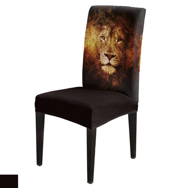 chair covers burning lion cover for dining room chairs high back living sets home kitchen
chair covers burning lion cover for dining room chairs high back living sets home kitchen