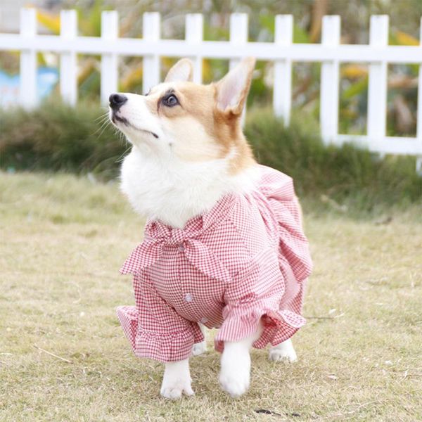 little plaid dog princess dress teddy bomei pet party temperament shirt apparel
little plaid dog princess dress teddy bomei pet party temperament shirt apparel
