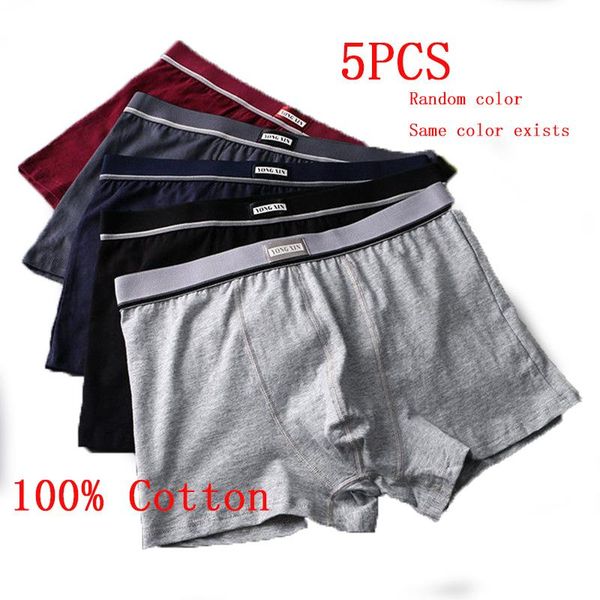 underpants 5pcs/lot men underwear boxer cotton men's comfortable plus size panties breathable and loose boxers, Black;white
underpants 5pcs/lot men underwear boxer cotton men's comfortable plus size panties breathable and loose boxers, Black;white