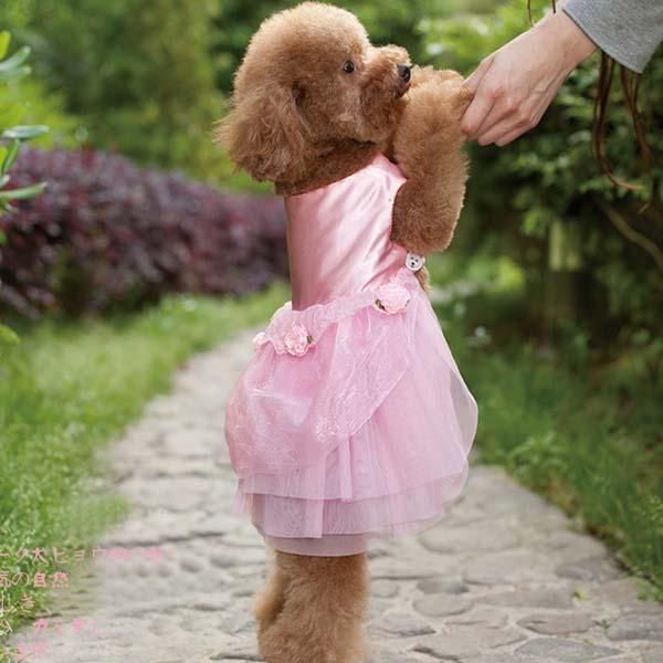 fashion pet dog skirt luxury princess flowers lace wedding dress clothes costume cat costumes
fashion pet dog skirt luxury princess flowers lace wedding dress clothes costume cat costumes