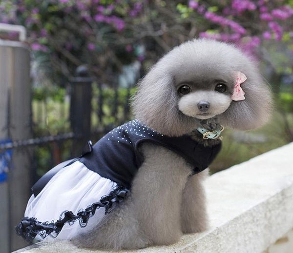 dog apparel spring summer clothes for small medium dogs cats black diamond skirt wedding dress puppy chihuahua yorkshire
dog apparel spring summer clothes for small medium dogs cats black diamond skirt wedding dress puppy chihuahua yorkshire