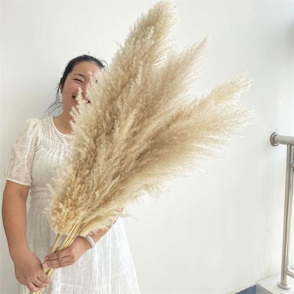 decorative flowers & wreaths weeding decorations big pampas grass natural dried large artificial plant secas grandes christmas decoration 20
decorative flowers & wreaths weeding decorations big pampas grass natural dried large artificial plant secas grandes christmas decoration 20