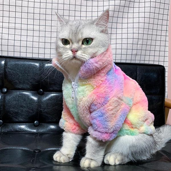 cat costumes super nice autumn winter coat thick warm cute pet british short small dog clothes sweater costume outfit
cat costumes super nice autumn winter coat thick warm cute pet british short small dog clothes sweater costume outfit