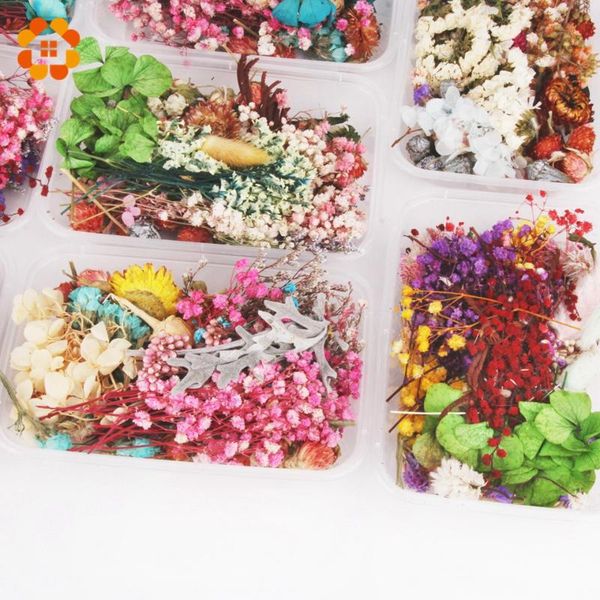 decorative flowers & wreaths 1box multi colorful diy natural dried handmade decorations accessories leaves flower heads scrapbooking decor
decorative flowers & wreaths 1box multi colorful diy natural dried handmade decorations accessories leaves flower heads scrapbooking decor