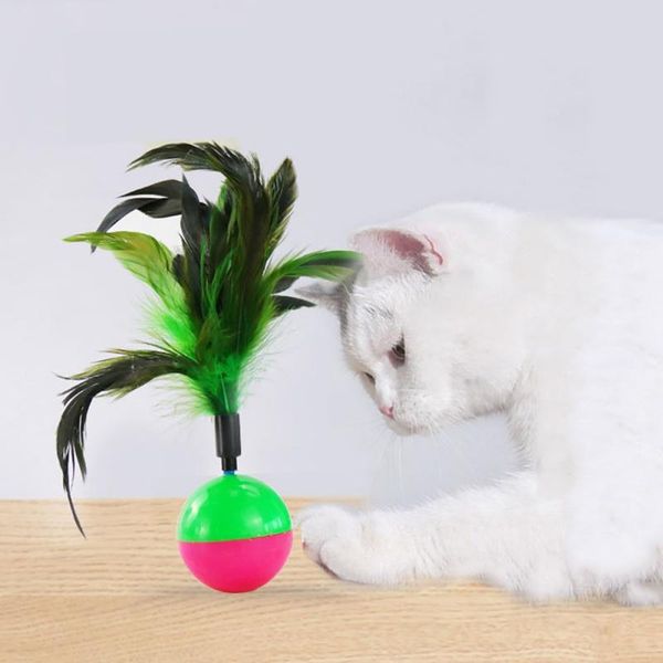 cat toys 1pc durable pet tumbler kitten interactive teaser plastic play balls with feathers cats supplies color ra/
cat toys 1pc durable pet tumbler kitten interactive teaser plastic play balls with feathers cats supplies color ra/