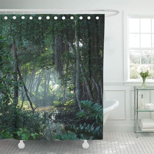 zhhld shower curtain rainforest view of clearing in tropical jungle forest dominican shower curtains sets with 12 hooks 60 x 72
zhhld shower curtain rainforest view of clearing in tropical jungle forest dominican shower curtains sets with 12 hooks 60 x 72