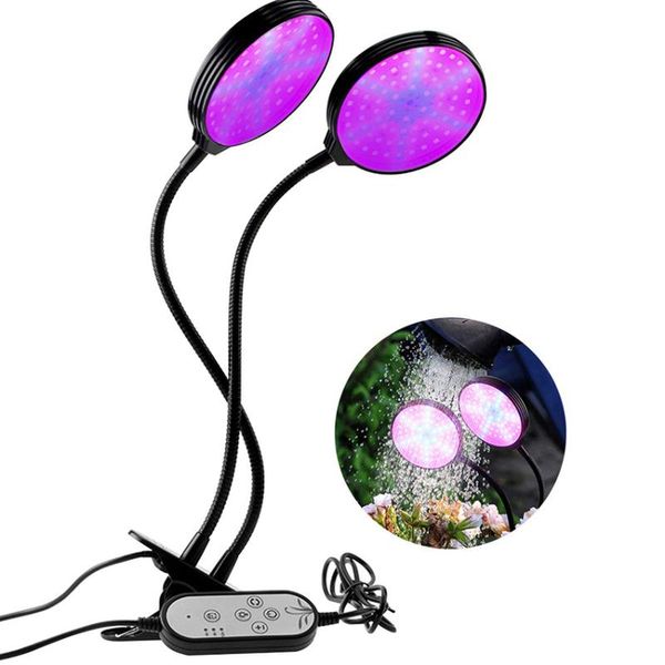 plant grow lights for indoor seedlings plants waterproof full spectrum usb led lighting bulb 5 dimmable levels with timer
plant grow lights for indoor seedlings plants waterproof full spectrum usb led lighting bulb 5 dimmable levels with timer