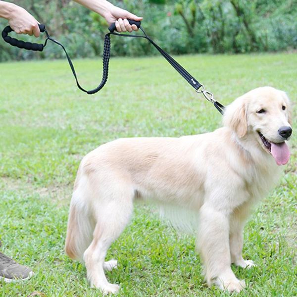 dog collars & leashes pet traction belt training safety rope leash with absorber 2 control handles z903
dog collars & leashes pet traction belt training safety rope leash with absorber 2 control handles z903