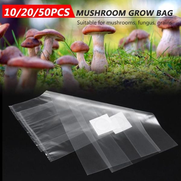 planters & pots 10/20/50pcs mushroom strain growing bag edible cultivation horticultural planting pvc bacteria breathable
planters & pots 10/20/50pcs mushroom strain growing bag edible cultivation horticultural planting pvc bacteria breathable