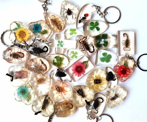 100 pcs keychain dried flowers key rings real insect four leaf clover lucid back vintage cool for women gift jewelry, Slivery;golden
100 pcs keychain dried flowers key rings real insect four leaf clover lucid back vintage cool for women gift jewelry, Slivery;golden
