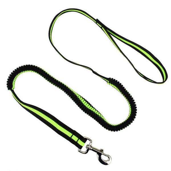 dog collars & leashes 190cm elastic leash pet cat puppy anti dash pull lead retractable for hamster small pets
dog collars & leashes 190cm elastic leash pet cat puppy anti dash pull lead retractable for hamster small pets