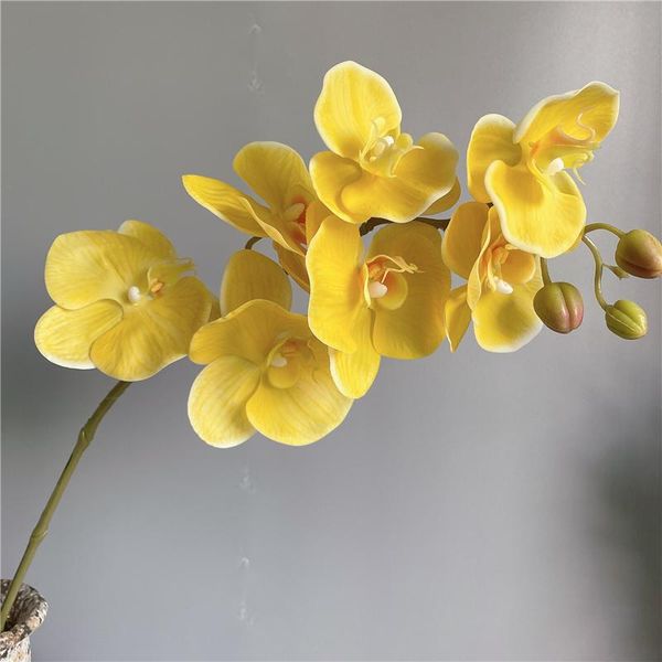 decorative flowers & wreaths big real touch orchid branch fake latex artificial for home wedding decorations flores white orchids
decorative flowers & wreaths big real touch orchid branch fake latex artificial for home wedding decorations flores white orchids
