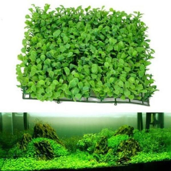 decorations lawn fish tank aquarium plants accessories decor green fake water plastic artificial
decorations lawn fish tank aquarium plants accessories decor green fake water plastic artificial