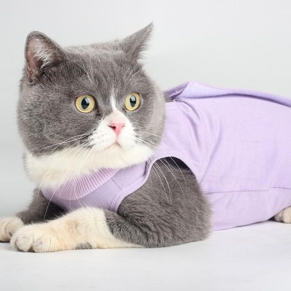pet physiological clothing protective weaning posrative anti-licking elastic cat hoo costumes
pet physiological clothing protective weaning posrative anti-licking elastic cat hoo costumes