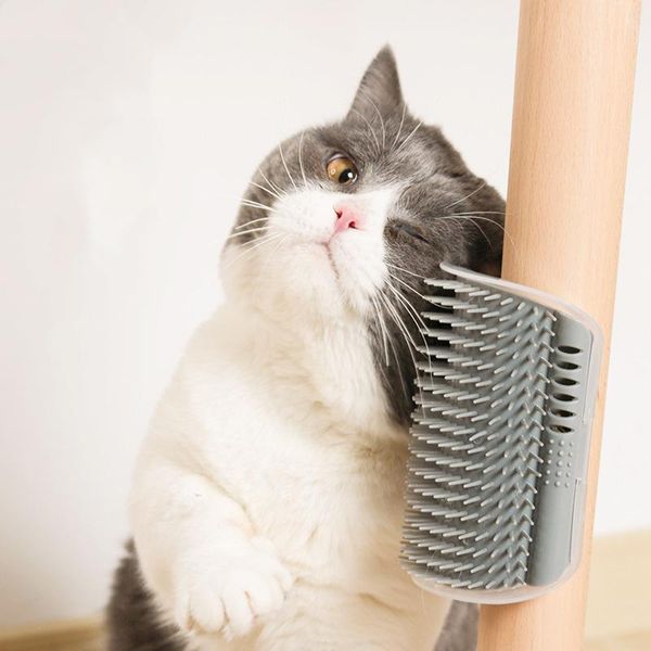 cat toys corner pet brush comb play toy plastic scratch bristles11.11arch massager self grooming scratcher jouet pour chat dog 23
cat toys corner pet brush comb play toy plastic scratch bristles11.11arch massager self grooming scratcher jouet pour chat dog 23