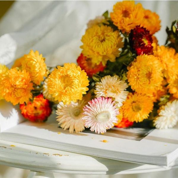 decorative flowers & wreaths 30pcs natural colorful chrysanthemum daisy sunflower bouquet home decor preserve floral wedding decoration orna
decorative flowers & wreaths 30pcs natural colorful chrysanthemum daisy sunflower bouquet home decor preserve floral wedding decoration orna