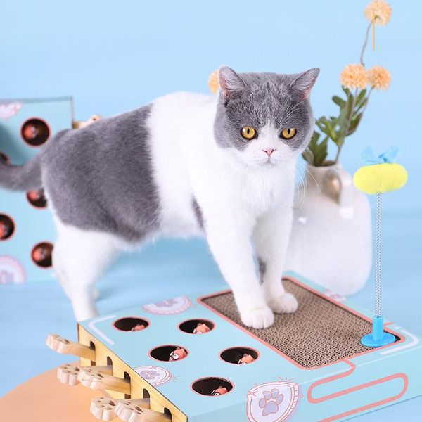 pet toy cat hitting hamster toys 5-holed cats interactive for hunt gophers kitten scratch board pad accessories
pet toy cat hitting hamster toys 5-holed cats interactive for hunt gophers kitten scratch board pad accessories