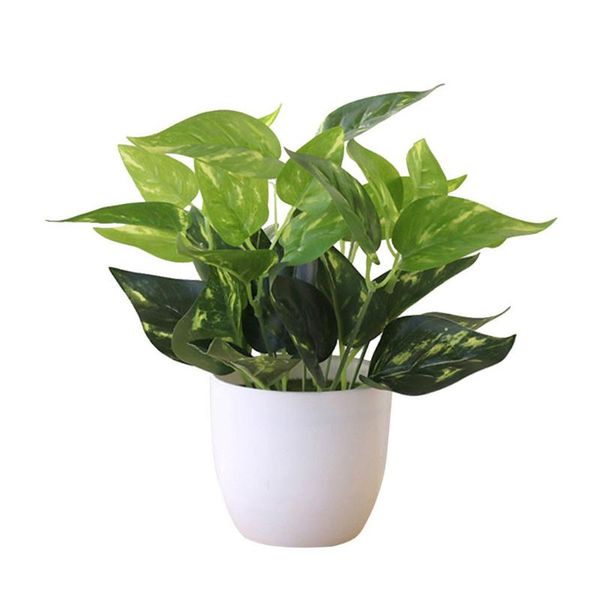 decorative flowers & wreaths simulation green plant pot artificial dill persian leaves plants bonsai home deskdecoration potted
decorative flowers & wreaths simulation green plant pot artificial dill persian leaves plants bonsai home deskdecoration potted
