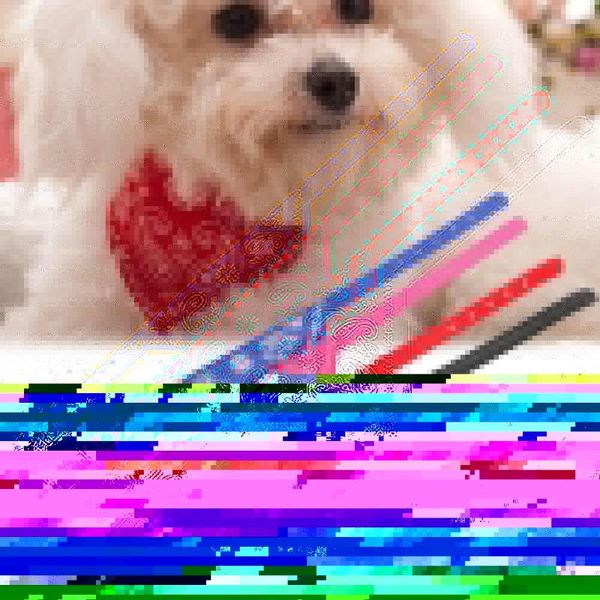dog apparel small adjustable pet puppy cat neck scarf bandana with collar neckerchief
dog apparel small adjustable pet puppy cat neck scarf bandana with collar neckerchief