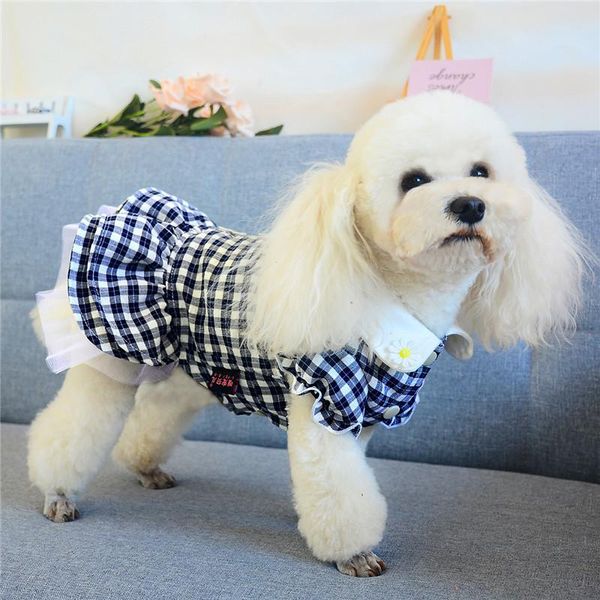 dog apparel small dress summer cat chihuahua yorkie puppy skirt yorkshire terrier pomeranian poodle bichon pet outfits clothing
dog apparel small dress summer cat chihuahua yorkie puppy skirt yorkshire terrier pomeranian poodle bichon pet outfits clothing