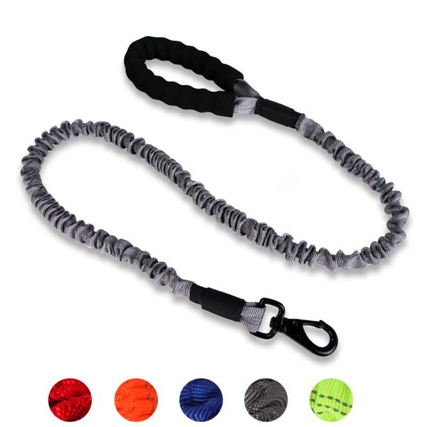 dog collars & leashes wh confortable absorbing leash short elastic bungee nylon rope retractable training running walking pet dogs col
dog collars & leashes wh confortable absorbing leash short elastic bungee nylon rope retractable training running walking pet dogs col