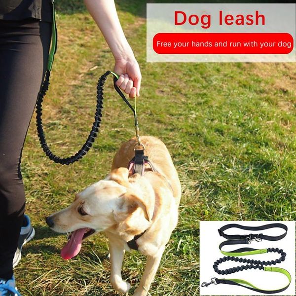 reflective leash traction rope pet dog running belt elastic hands y jogging pull chest strap leashes #t3g collars &
reflective leash traction rope pet dog running belt elastic hands y jogging pull chest strap leashes #t3g collars &