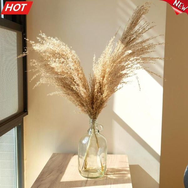 decorative flowers & wreaths wedding pampas grass decor feather bunch natural dried flower plants easter christmas decorations home
decorative flowers & wreaths wedding pampas grass decor feather bunch natural dried flower plants easter christmas decorations home
