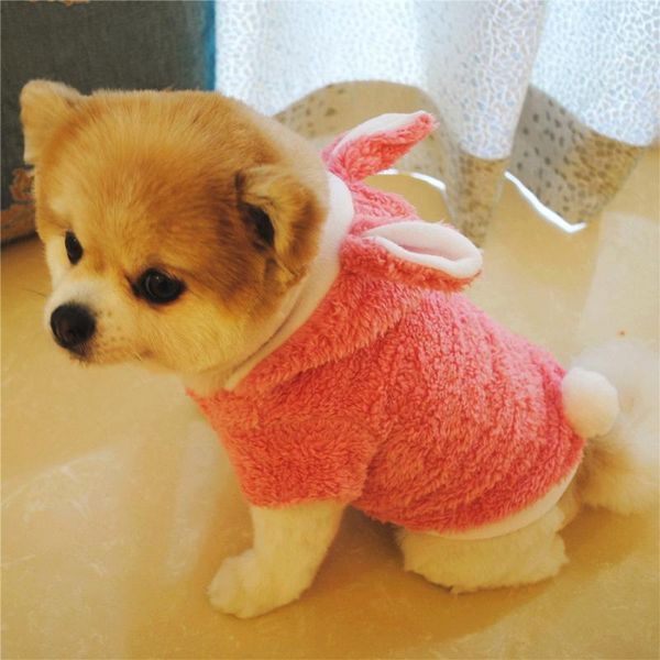dog apparel fashion camiseta perro clothing puppy and kitten pet transform clothes roupas para cachorro giubbotto cane
dog apparel fashion camiseta perro clothing puppy and kitten pet transform clothes roupas para cachorro giubbotto cane