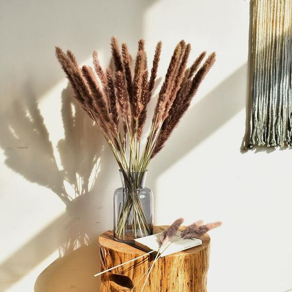 decorative flowers & wreaths 10pcs small pampas reed natural dried grass brown phragmites artificial plants wedding flower bunch for home de
decorative flowers & wreaths 10pcs small pampas reed natural dried grass brown phragmites artificial plants wedding flower bunch for home de
